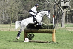 luhmuehlen-cci2-maerz-2019-072-jpg