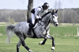 luhmuehlen-cci2-maerz-2019-074-jpg