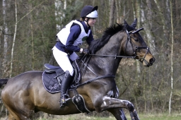 luhmuehlen-cci2-maerz-2019-077-jpg