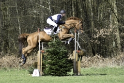 luhmuehlen-cci2-maerz-2019-084-jpg