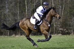 luhmuehlen-cci2-maerz-2019-087-jpg