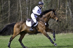 luhmuehlen-cci2-maerz-2019-088-jpg