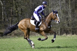 luhmuehlen-cci2-maerz-2019-089-jpg