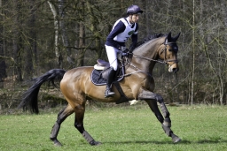 luhmuehlen-cci2-maerz-2019-095-jpg