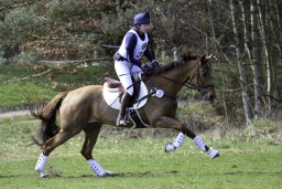 luhmuehlen-cci2-maerz-2019-100-jpg