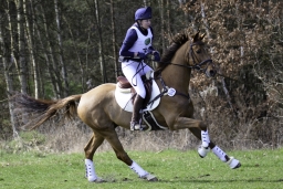 luhmuehlen-cci2-maerz-2019-101-jpg