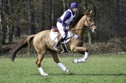 luhmuehlen-cci2-maerz-2019-102-jpg