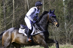 luhmuehlen-cci2-maerz-2019-108-jpg