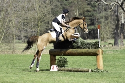 luhmuehlen-cci2-maerz-2019-109-jpg