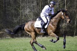 luhmuehlen-cci2-maerz-2019-110-jpg