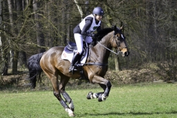 luhmuehlen-cci2-maerz-2019-112-jpg