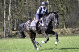 luhmuehlen-cci2-maerz-2019-120-jpg