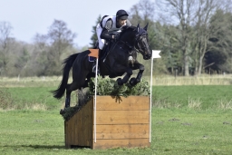 luhmuehlen-cci2-maerz-2019-123-jpg