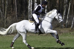 luhmuehlen-cci2-maerz-2019-125-jpg