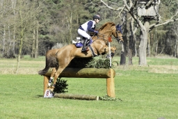 luhmuehlen-cci2-maerz-2019-127-jpg