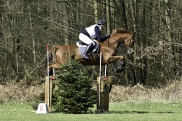 luhmuehlen-cci2-maerz-2019-131-jpg