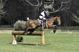 luhmuehlen-cci2-maerz-2019-132-jpg