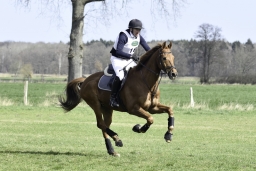 luhmuehlen-cci2-maerz-2019-134-jpg