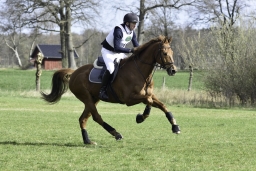 luhmuehlen-cci2-maerz-2019-136-jpg