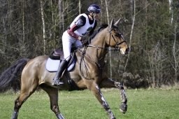 luhmuehlen-cci2-maerz-2019-138-jpg