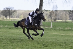 luhmuehlen-cci2-maerz-2019-142-jpg