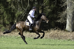 luhmuehlen-cci2-maerz-2019-144-jpg