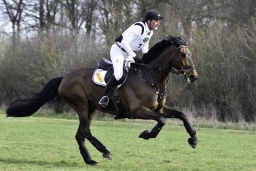 luhmuehlen-cci2-maerz-2019-147-jpg