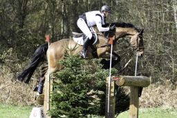 luhmuehlen-cci2-maerz-2019-151-jpg