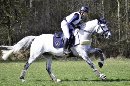 luhmuehlen-cci2-maerz-2019-152-jpg