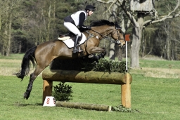 luhmuehlen-cci2-maerz-2019-159-jpg