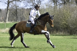 luhmuehlen-cci2-maerz-2019-166