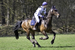 luhmuehlen-cci2-maerz-2019-175