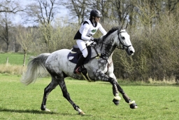 luhmuehlen-cci2-maerz-2019-177