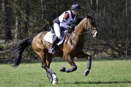 luhmuehlen-cci2-maerz-2019-178