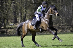 luhmuehlen-cci2-maerz-2019-181