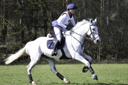 luhmuehlen-cci2-maerz-2019-183