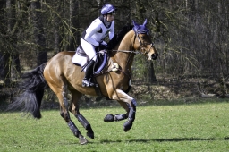 luhmuehlen-cci2-maerz-2019-186
