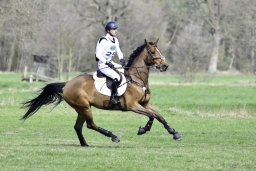luhmuehlen-cci2-maerz-2019-187