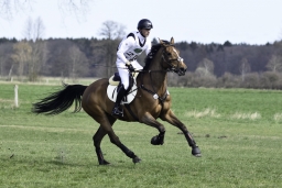 luhmuehlen-cci2-maerz-2019-189
