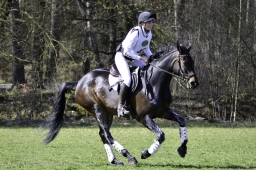 luhmuehlen-cci2-maerz-2019-192