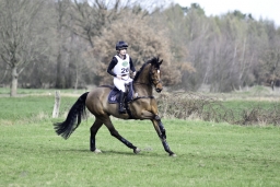 luhmuehlen-cci2-maerz-2019-194