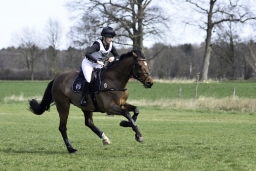 luhmuehlen-cci2-maerz-2019-196
