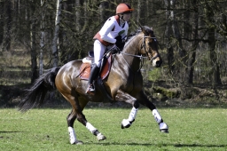 luhmuehlen-cci2-maerz-2019-198