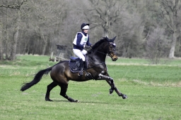 luhmuehlen-cci2-maerz-2019-200