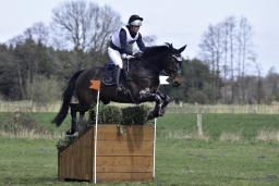 luhmuehlen-cci2-maerz-2019-202