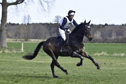 luhmuehlen-cci2-maerz-2019-203