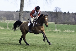 luhmuehlen-cci2-maerz-2019-207