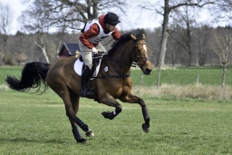 luhmuehlen-cci2-maerz-2019-208