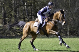 luhmuehlen-cci2-maerz-2019-209