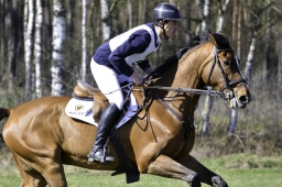 luhmuehlen-cci2-maerz-2019-210